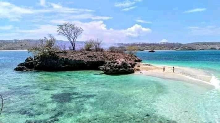 Jaya Homestay Tetebatu Kültér fotó