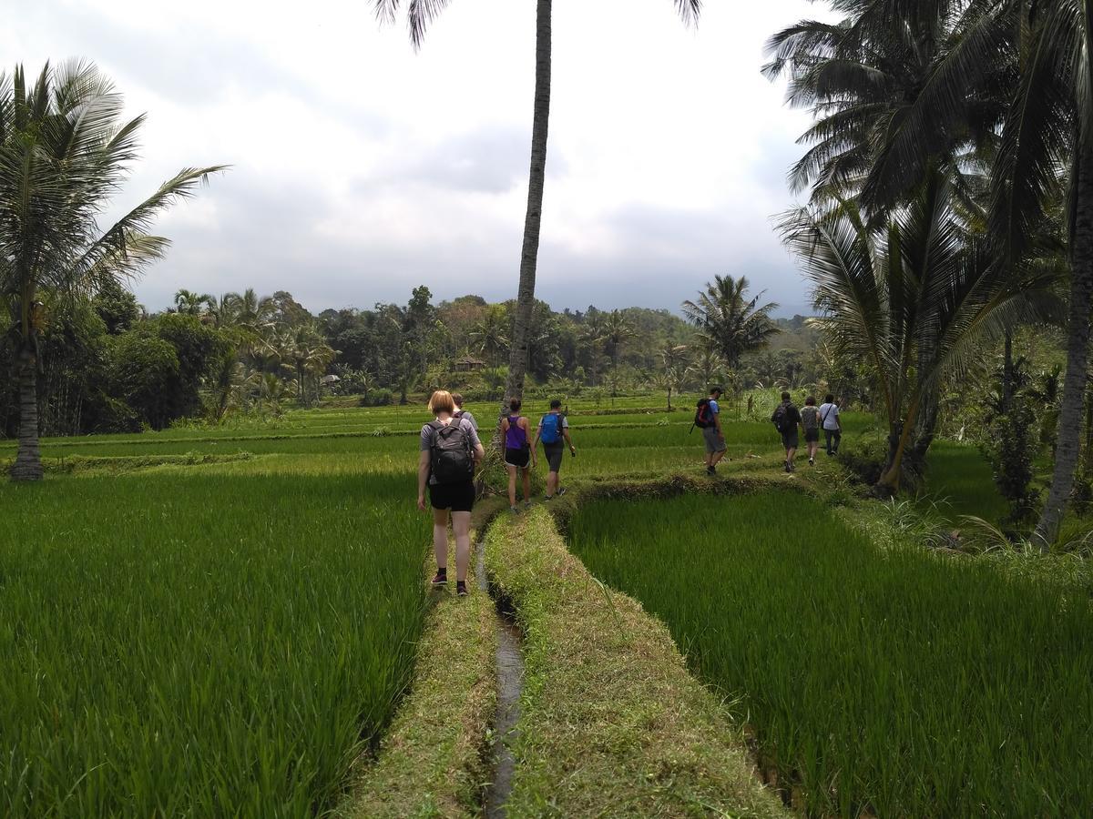 Jaya Homestay Tetebatu Kültér fotó