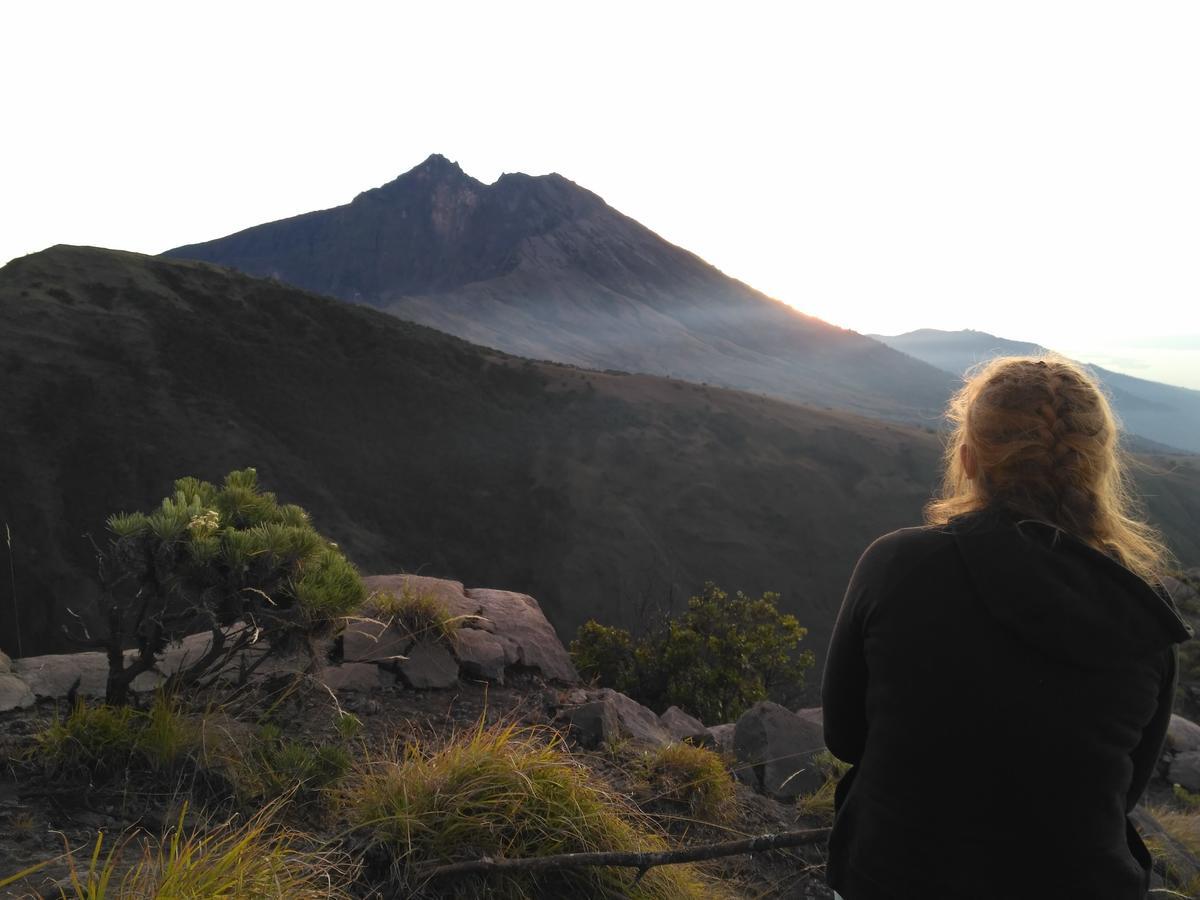 Jaya Homestay Tetebatu Kültér fotó