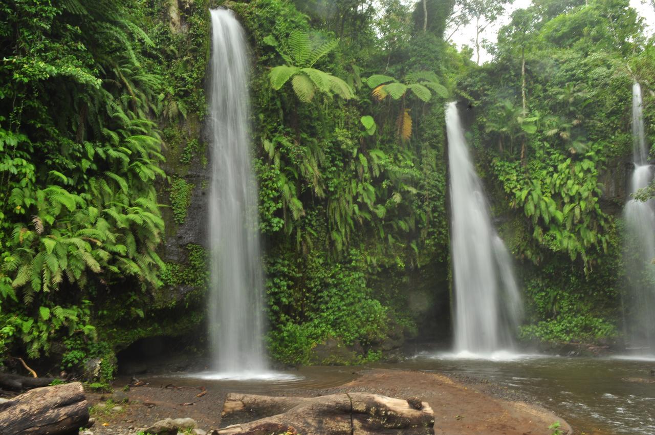 Jaya Homestay Tetebatu Kültér fotó